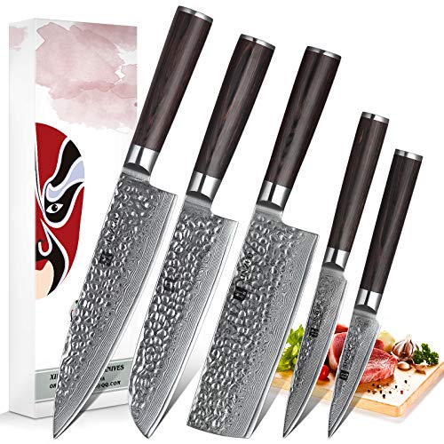 XINZUO 5 delige Damascus-messenset Keukenmes Japans Damascus-staal High-Carbon Professionele scherpe Damascus-stalen koksmessenset met Pakkawood-handvat - He serie