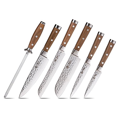 BGT 6 Stks Damascus Keukenmes Sets, Japanse 67 Layer Hoogwaardige VG-10 Damascus Staal Chef Messen, Teak Handvat Professionele Gehamerd Sharp Keukenmes Set met Mes Roll Bag