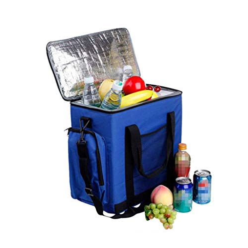 DJY-JY Elektrische koelbox voor auto, draagbaar, vrieszak, 600D, Oxford-weefsel, auto en huis, gebruik voor verwarming en koeling 14 l, 12 V, 220 V